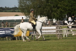 SBM_09546