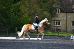 WJ5_8835