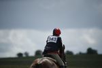BVHT 140517  IXC -494