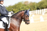 SBM_009376