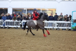 SBM_003998