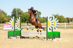SBM_006531