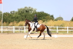 SBM_010536
