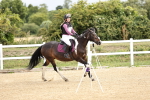 SBM_002913