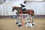 SBM_007631