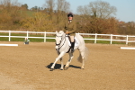 SBM_003722