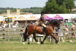 SBM_06888