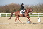 SBM_008559