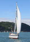 140729 SCOT FREE GBR1443T WT7A1821