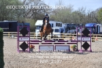 BPP_2197