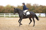 SBM_001883