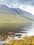Loch Etive and Beinn Starav, September 2017.