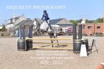 BPP_3832