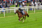 140723-Race 2-Swingalong-8129