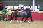 SBM_16616