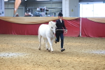 SBM_16645