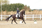 SBM_010975