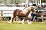 SBM_06028
