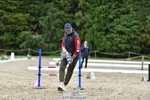 Thursday Evening Hobby Horse Comp portfolio