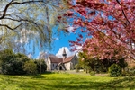z4433 Spring Colours at St Blasius Shanklin
