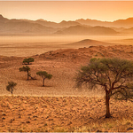 Evening light on the Chateau Plains