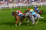 230526-Race 7-Golden Strike-0697
