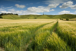 Cherhill White Horse, Wiltshire