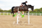SBM_002772