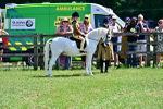 SBM_06439