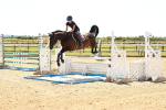 SBM_006631
