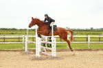 SBM_002008