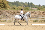 SBM_002893