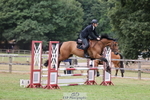 Cls 52 British Novice and 90cm Open portfolio