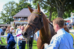 110726-Race 4-Raammee-7896