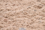 230702A-100642-07956