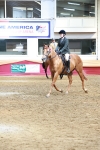SBM_14906