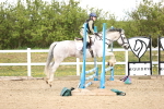 SBM_001810