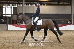 BPP_9151