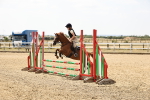 SBM_001305