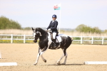 SBM_007971
