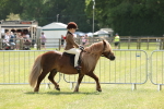 SBM_05321