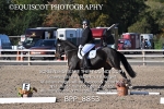 BPP_8853