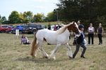 WJ6_6573