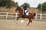 SBM_012003