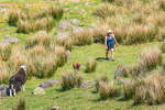 Glaramara-6