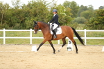SBM_017882