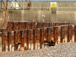 Shoreham Fort - 75