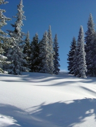 Sky, Water, Land portfolio
