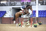 SBM_002331