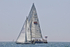 190629 SPEEDY GIRL 158 GBR4357 D43A4526
